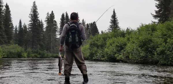 Fisher at the minors' stream